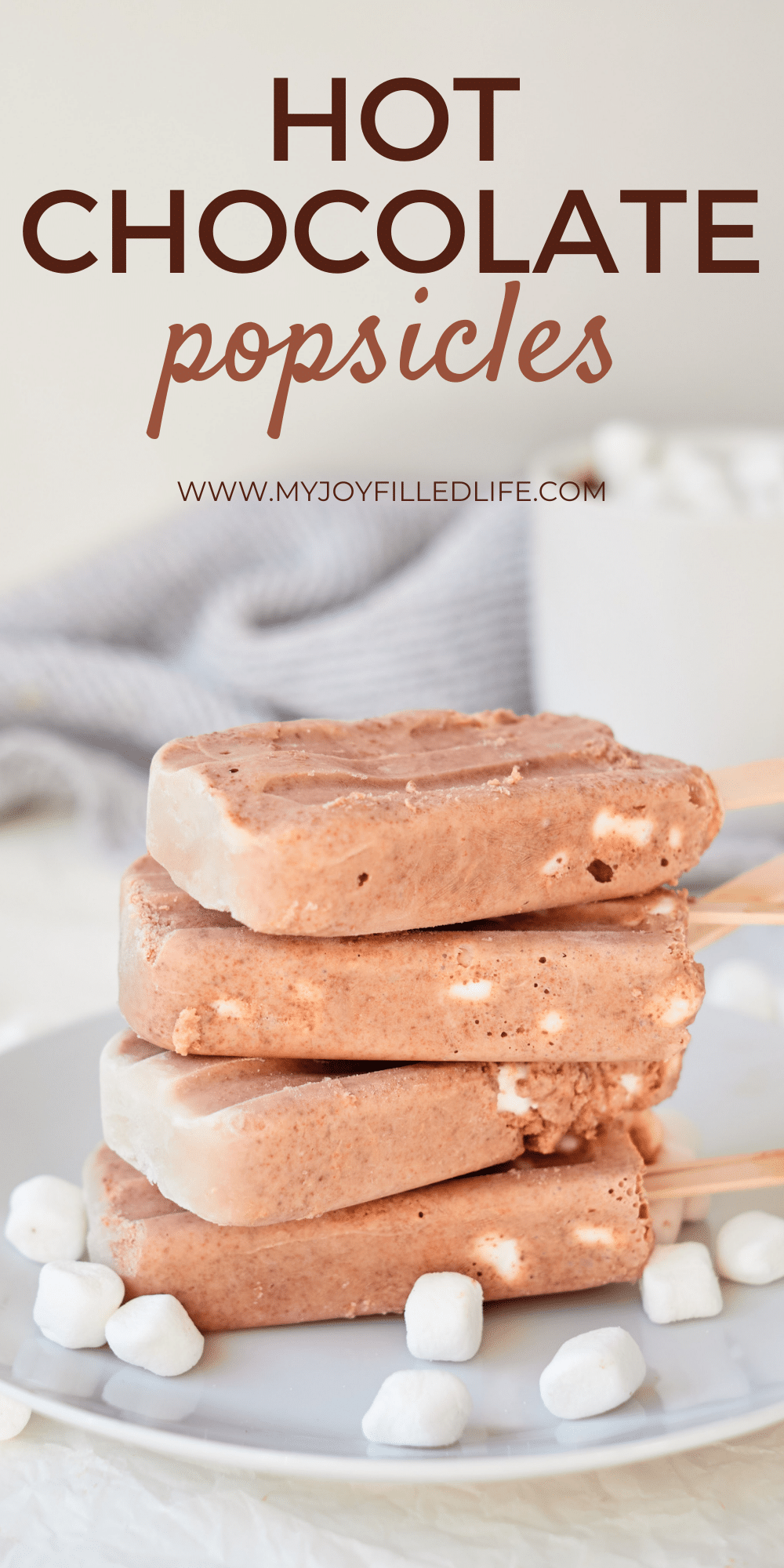 Hot Chocolate Popsicles on a plate