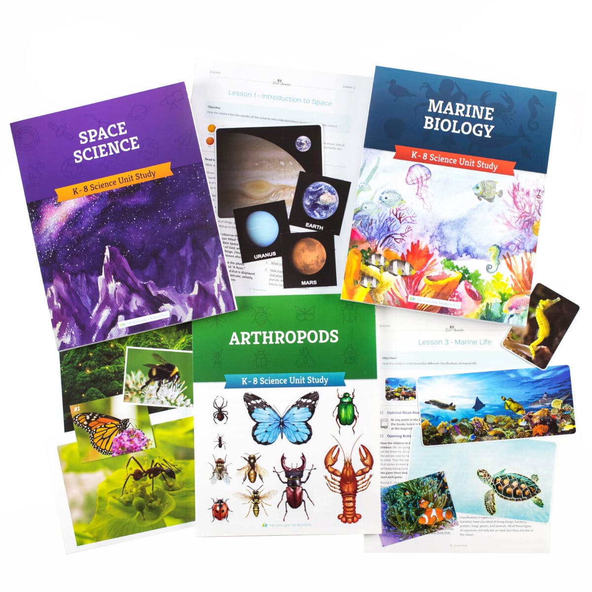 Homeschool Science Curriculum - My Joy-Filled Life