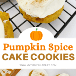 Pumpkin Spice Cookies Pin