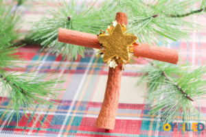 Cinnamon Cross Stick