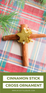 Cinnamon Cross Stick