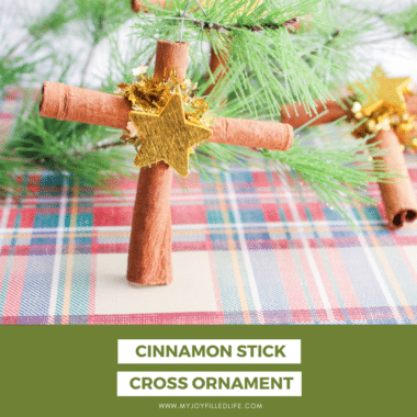 Cinnamon Cross Stick