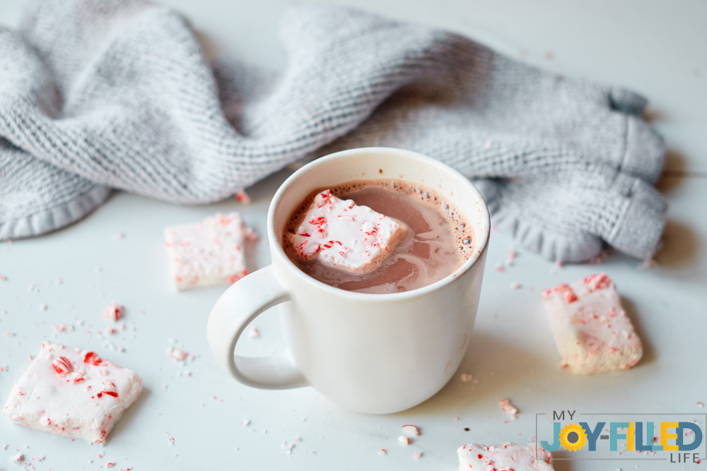cup of hot chocolate with marshmallow