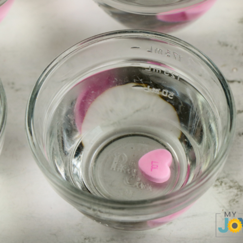 Dissolving Candy Hearts Experiment