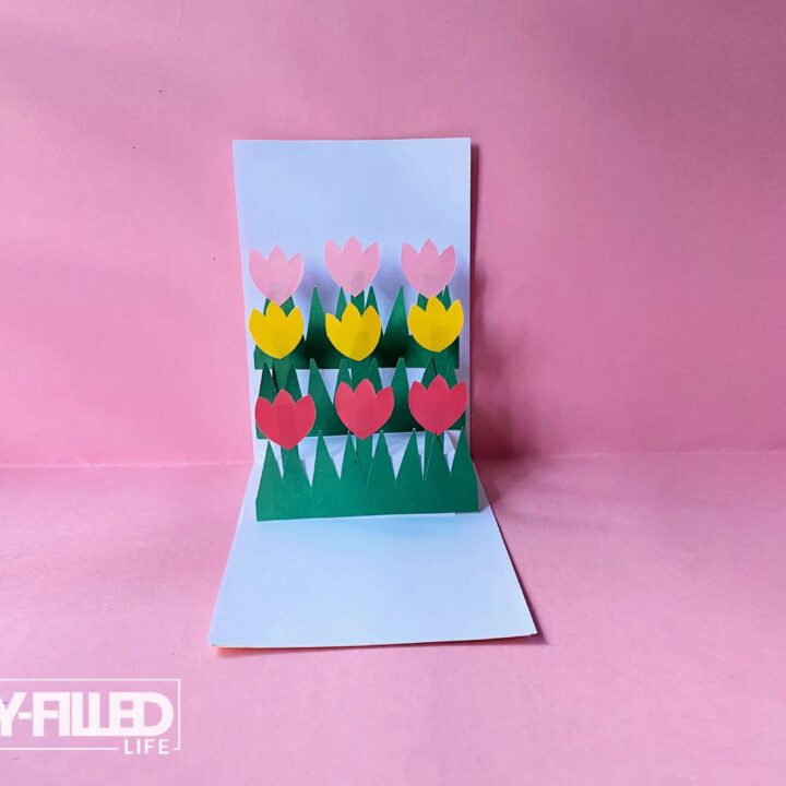 Pop-Up Tulip Card