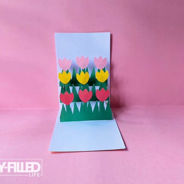Pop-Up Tulip Card