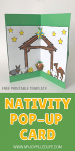 Simple Nativity Christmas Card