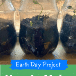 How to Make a Mini Greenhouse with Kids