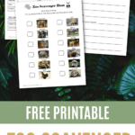 Free Printable Zoo Scavenger Hunt for Kids