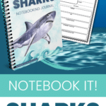 Easy Shark Notebooking Journal for Homeschool Science