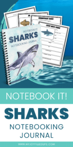 Easy Shark Notebooking Journal for Homeschool Science