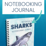 Printable Sharks Notebooking Journal for Elementary & Middle School