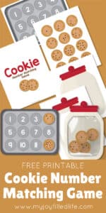 Fun Cookie Number Matching Game for Preschoolers