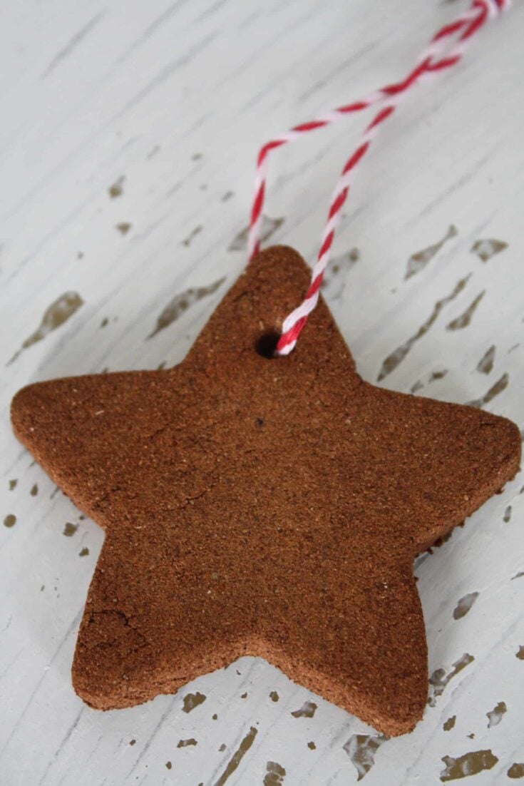 Cinnamon Spice Ornaments